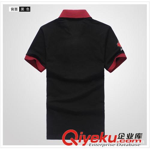 品牌T恤定做 時(shí)尚新款2013爆賣款/翻領(lǐng)商務(wù)T恤/中山生產(chǎn)廠家直供原始圖片2
