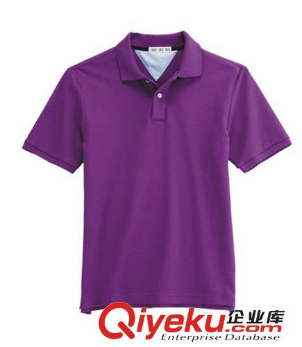 廠家低價(jià)生產(chǎn)男士polo衫，廣告衫，文化衫等空白翻領(lǐng)t-shirt。原始圖片2