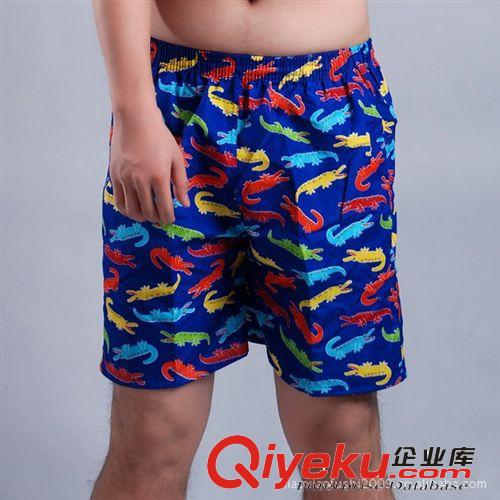 廠家訂單生產(chǎn)外貿(mào)新款男式沙灘褲，可來樣定做，價格詳談