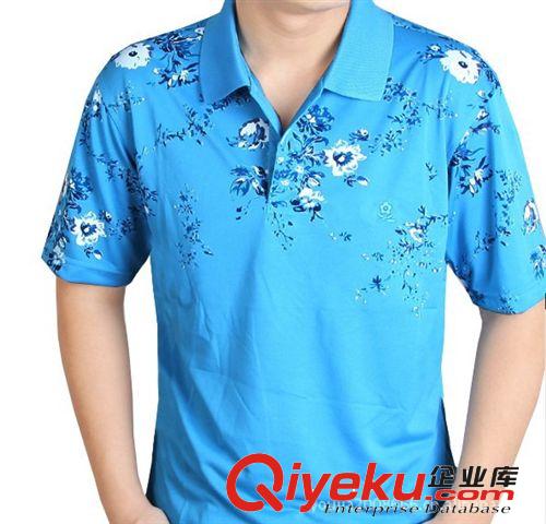 供應(yīng)2013年 廠家直銷新款男士休閑印花翻領(lǐng)t-shirt 訂做服裝原始圖片2