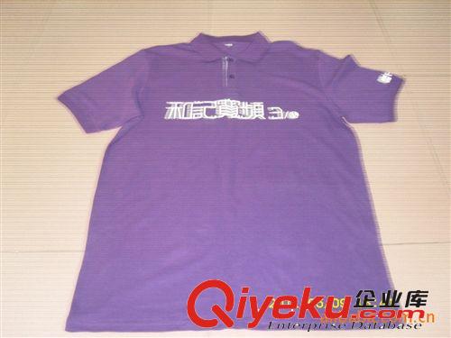 供應(yīng)國(guó)內(nèi)  歐美外貿(mào)男式POLO衫原始圖片2