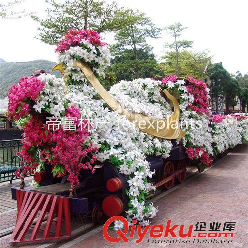 現貨即發多色勒杜鵑 三角梅 葉子花綠化盆栽植物