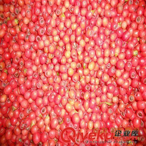 出售優質草種夏威夷草，預定優惠，量大更優！