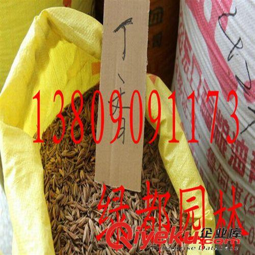 2014批發(fā)優(yōu)質(zhì)紫丁香種子，發(fā)芽率高。原始圖片3