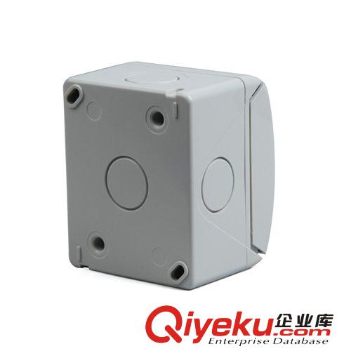 saipwell/賽普 雙控開關 雙開開關面板 防潮明裝開關SP-2GBS原始圖片3