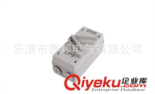 斯普威爾 戶外防水隔離開關 1P20A 220V 防水負荷開關 安全開關原始圖片2