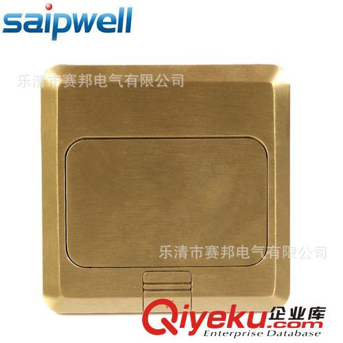 供應(yīng) saipwell/賽普 地插、地面插座、接線插座 接地插座SP-1F01原始圖片3
