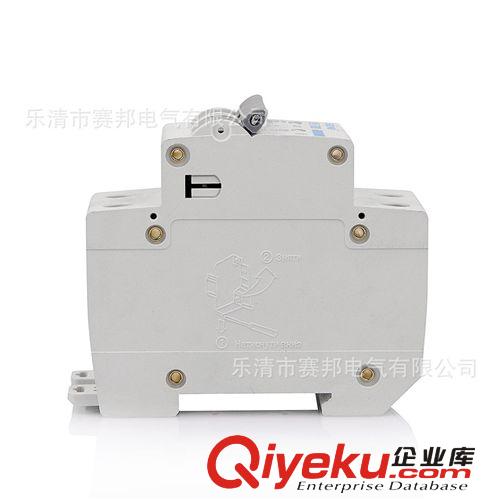 供應 斷路器、低壓斷路器、空開、SPM1-63C16-2P 真空斷路器原始圖片2