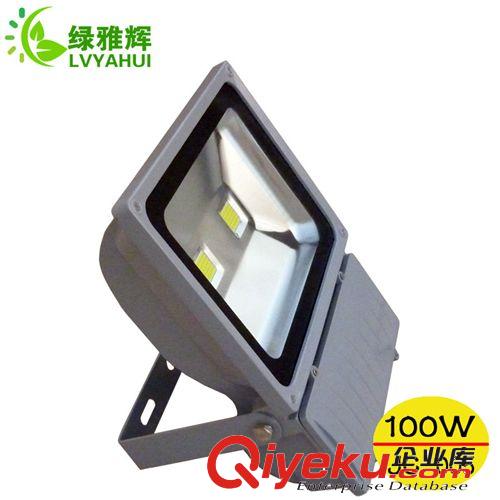 供應(yīng)led投光燈 大液晶led投光燈 24w大透鏡led投光燈