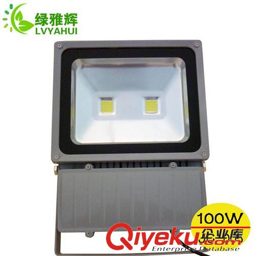 廠家批發(fā)LED投光燈100wLED投光燈 LED投光燈100w LED投光燈原始圖片2