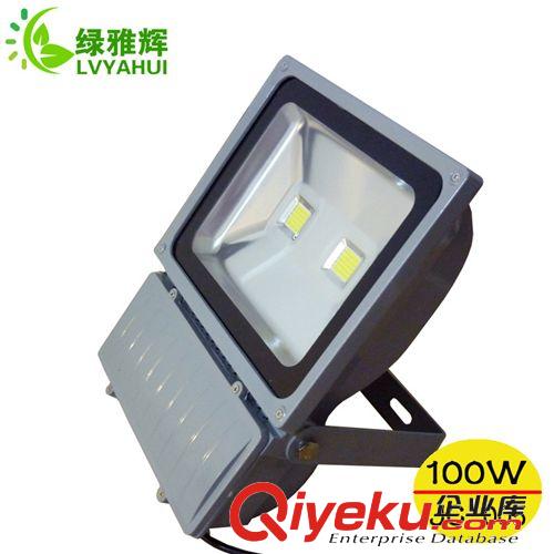廠家批發(fā)LED投光燈100wLED投光燈 LED投光燈100w LED投光燈原始圖片3