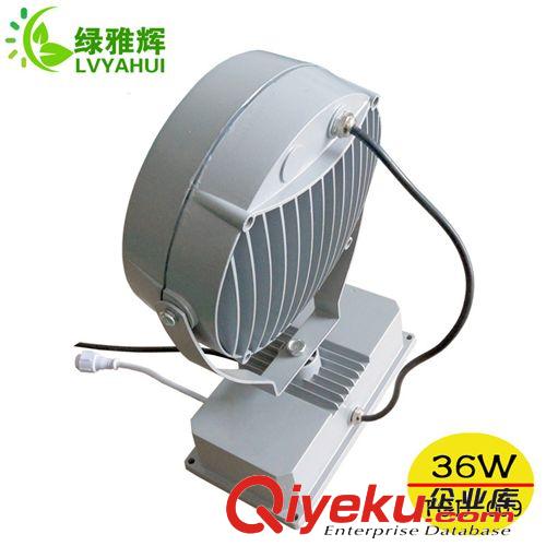 供應(yīng)投射燈 24w 36w大圓投射燈 單色或七彩大功率投射燈原始圖片2