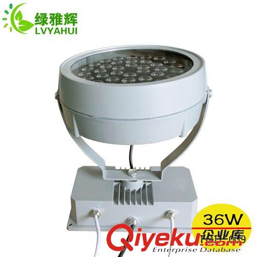 供應(yīng)投射燈 24w 36w大圓投射燈 單色或七彩大功率投射燈原始圖片3