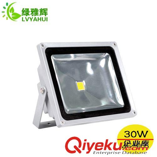 供應(yīng)led投光燈 9wled投光燈 太陽(yáng)花led投光燈 單色七彩led投光燈