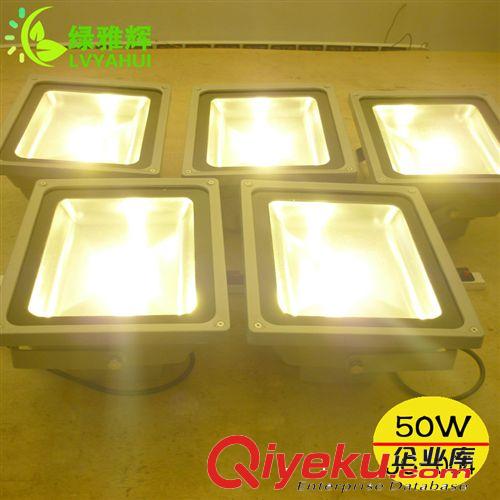 廠家直銷10Wled投光燈 led泛光燈 大功率集成led燈 優(yōu)質(zhì)LED投光燈