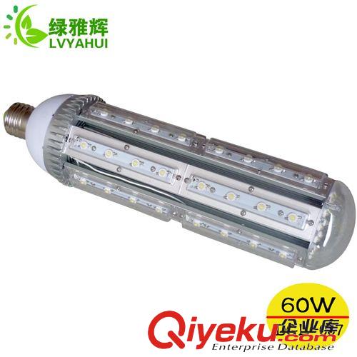 供應大功率玉米燈 e40led小路燈 60w小路燈  替換傳統路燈庭院燈