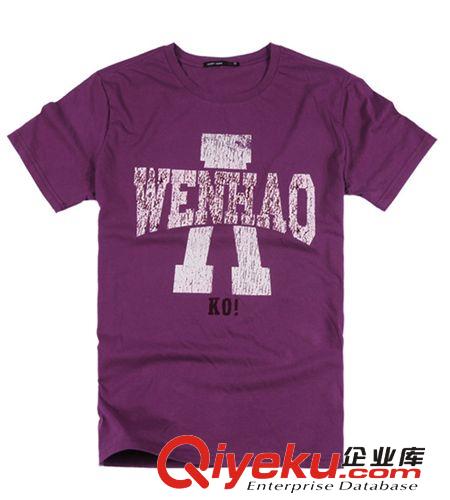 廠家供應(yīng)外貿(mào)T恤衫 專業(yè)品質(zhì)價格合理T恤生產(chǎn)T恤衫立領(lǐng)衫海納生產(chǎn)原始圖片2
