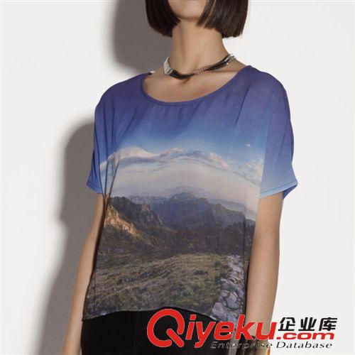 服裝廠家加工純棉歐美成人 童裝T恤 包工包料生產(chǎn)純棉數(shù)碼印花T恤原始圖片3