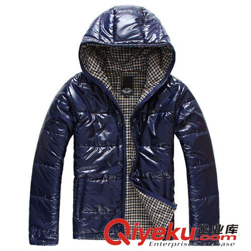 供應秋季男女童童裝 兒童加厚連帽衛(wèi)衣 貼布繡抓絨衛(wèi)衣 可定做