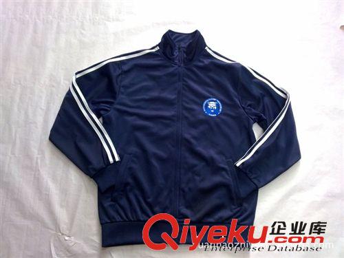 廠家專業(yè)生產(chǎn)國內(nèi)外貿(mào)金光絨運(yùn)動休閑衛(wèi)衣外套 承接定單出口OEM原始圖片2