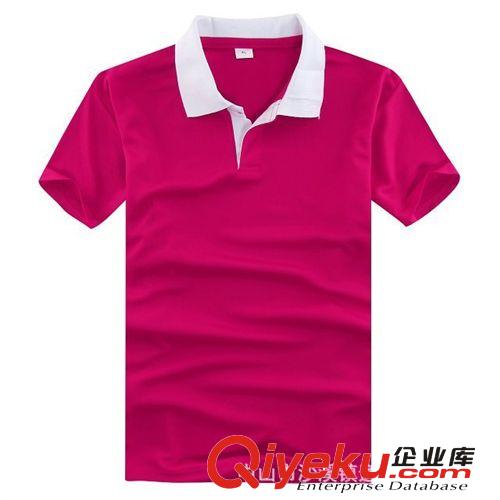 廠家訂做廣告衫工服網眼珠地翻領空白polo衫 男裝短袖t恤原始圖片2