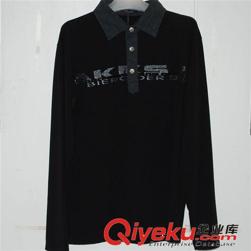 供應(yīng)春秋新款POLO男士T恤 外貿(mào)男士長(zhǎng)袖POLO衫 男士休閑款原始圖片2
