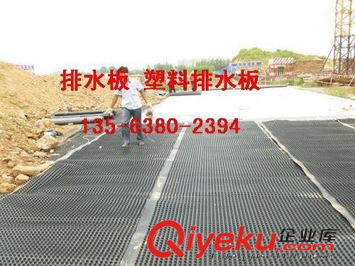 排水板價格-排水板廠家 泰安市綠泰建材有限公司