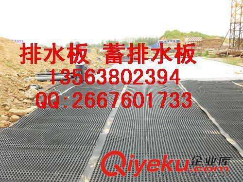 排水板價格-排水板廠家 泰安市綠泰建材有限公司