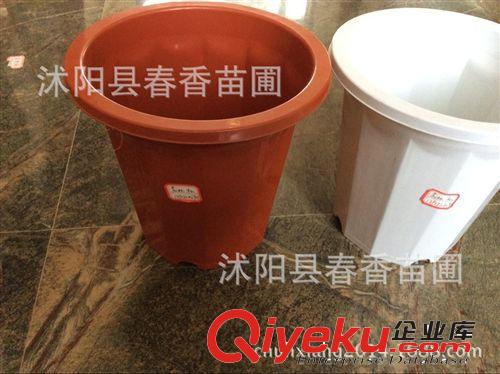 優(yōu)質(zhì)加厚加高白色塑料大號花盆園藝用品工具 塑料花盆 帶托盤