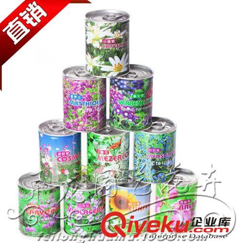 易拉罐花卉植物多品種 辦公室種植 室內(nèi)食蟲草種子 創(chuàng)意綠植盆栽