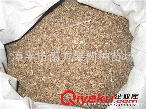 供應綠化苗木種子   櫻花種子