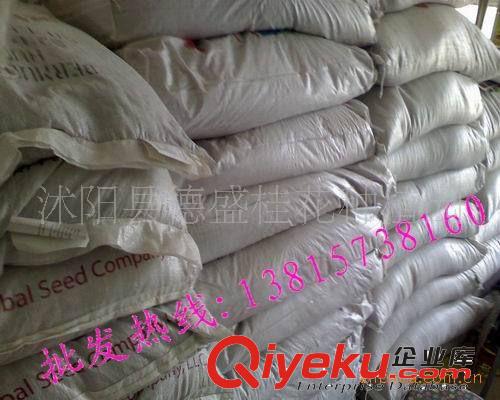 供應早熟禾草種子、黑麥草種子草皮、草種，草籽生耐寒型草種原始圖片3