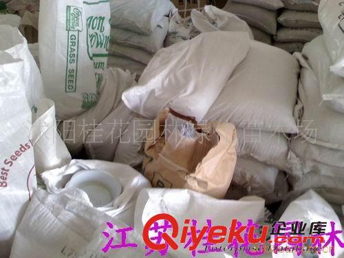 供應花卉種子種苗 俄羅斯飼料菜等牧草種子、花卉種子