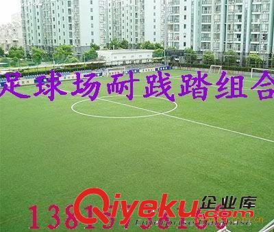 馬尼拉、南方四季青組合等原始圖片3