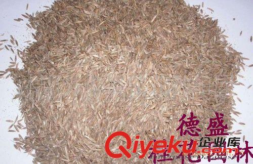 供應綠化草坪、草皮、彎葉畫眉草、馬蹄筋、日本結縷草