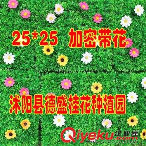 批發(fā)耐踏仿真草坪 落地園藝家居裝飾綠植物塑料草坪假草皮假草坪原始圖片2