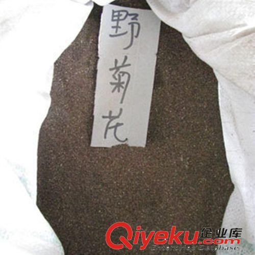 批發 當年新采 地被類 花卉種子 草花種子 野菊花種子 香草種子