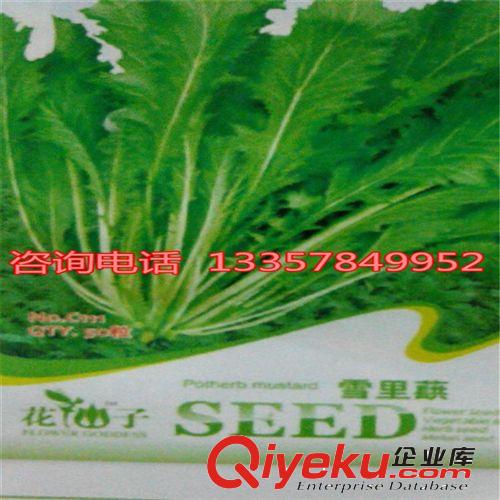 紅圣女果種子 陽臺蔬菜種子 四季播種 量大從優(yōu)