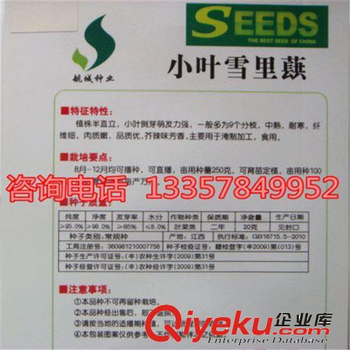 雪里蕻種子蔬菜種子陽臺種植 品種齊全 量大從優(yōu) 歡迎選購原始圖片3