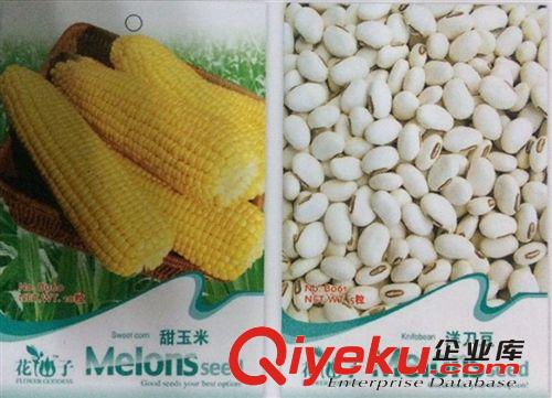 玉米種子 甜玉米種子 味美香甜 庭院播種 量大從優(yōu)原始圖片3