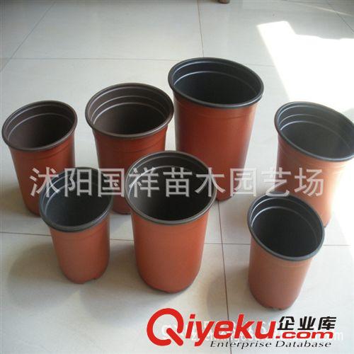 摔不破的薄塑料花盆雙色盆 質(zhì)量超好 雙色花盆各種型號(hào)tj批發(fā)原始圖片2