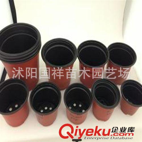 摔不破的薄塑料花盆雙色盆 質(zhì)量超好 雙色花盆各種型號(hào)tj批發(fā)原始圖片3