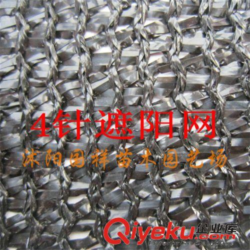 廠家直銷園藝用品 遮陽網  3針網6米寬
