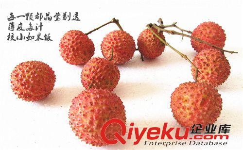 {dj0}桂味荔枝 荔枝之中{zh0}吃有桂花蜜糖味道送礼佳品顺丰包邮5斤