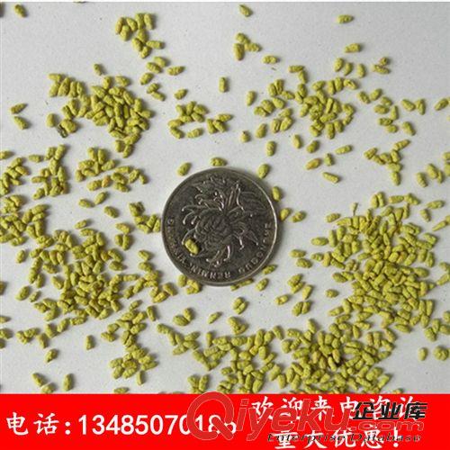 進(jìn)口牧草種子 菊苣種子 苦苣 苦菜 適口性好 蛋白質(zhì)高產(chǎn)量大