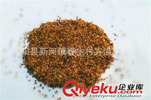 供應 陽臺庭院花卉種子 四葉草三葉草種子 好種易活原始圖片3
