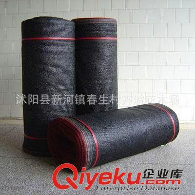 廠家直銷 6針 黑色遮陽網(wǎng) 防曬網(wǎng) pe網(wǎng) 遮陽率是96% 塑料網(wǎng) 農(nóng)用原始圖片2