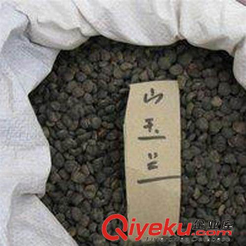 【建大園藝苗木】出售當(dāng)年新采苗木樹種=山玉蘭種子原始圖片2