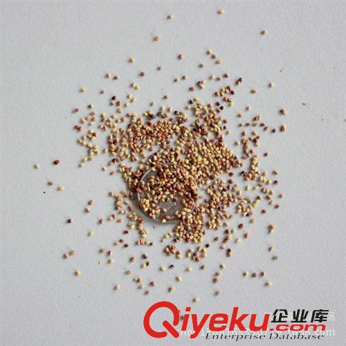 黑麥草種子，種子，苗木種子
