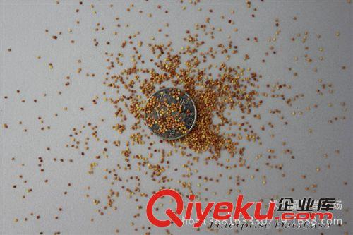 白三葉種子，種子，苗木種子原始圖片3